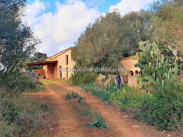 Finca rústica en Venta en Campos poble