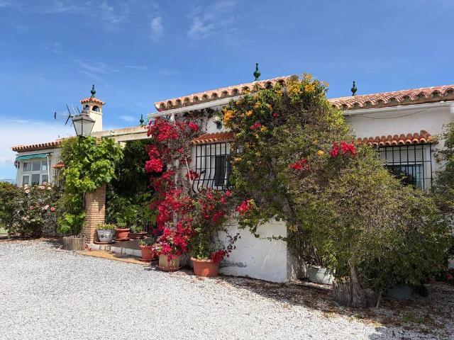 Finca rústica en Venta en Canillas de Aceituno