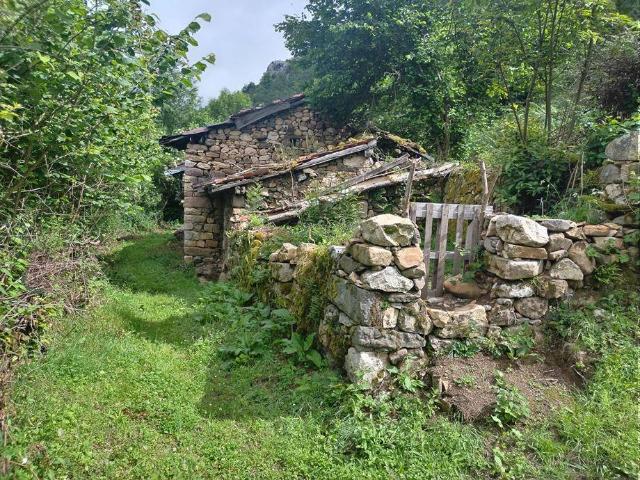 Finca rústica en Venta en Caso