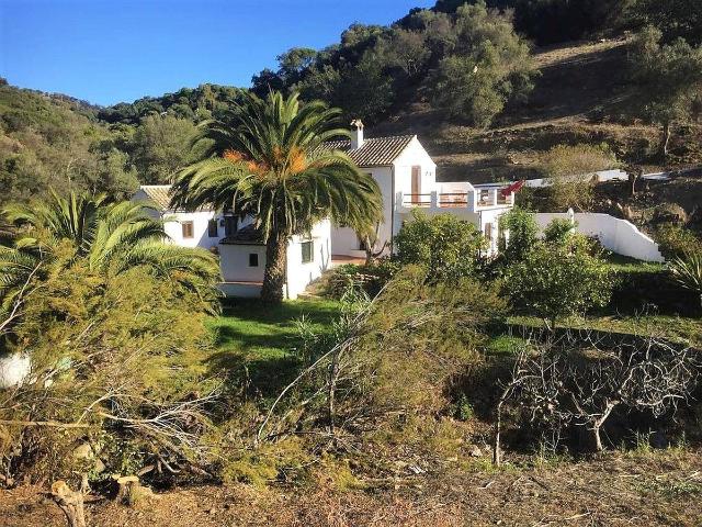 Finca rústica en Venta en Casares pueblo