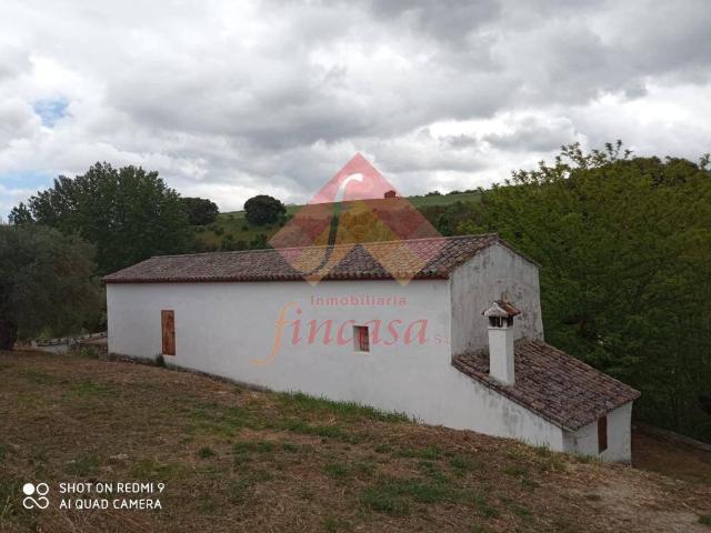 Finca rústica en Venta en Casco Histórico
