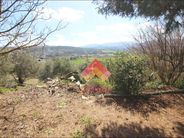 Finca rústica en Venta en Casco Histórico