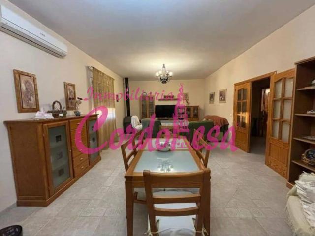 Finca rústica en Venta en Casco Histórico Ribera San Basilio