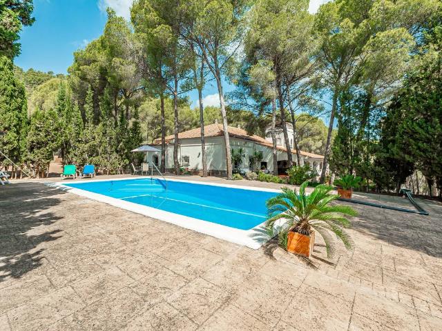 Finca rústica en Venta en Casco Urbano
