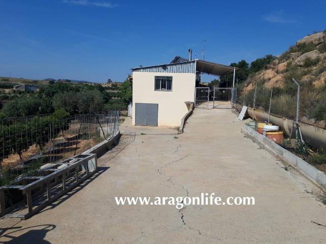 Finca rústica en Venta en Caspe