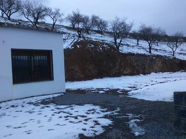 Finca rústica en Venta en Cástaras