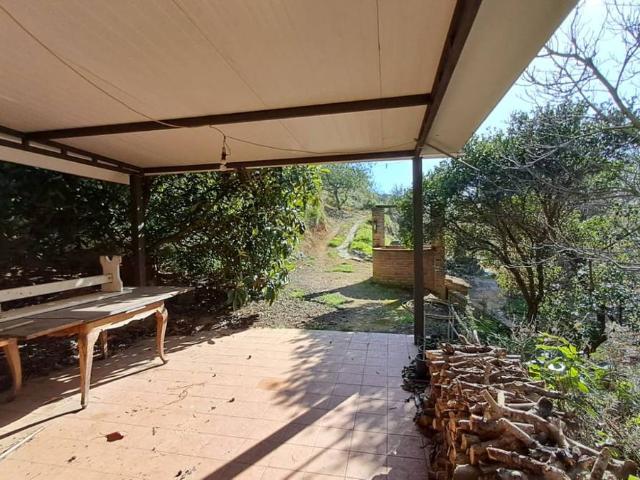 Finca rústica en Venta en Castellvell del Camp