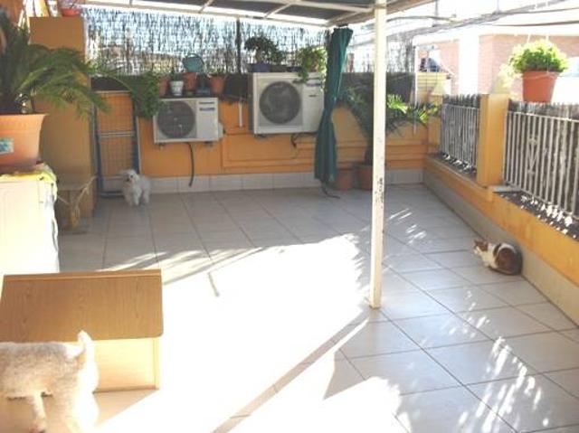 Finca rústica en Venta en Capuchinos Los Olivos