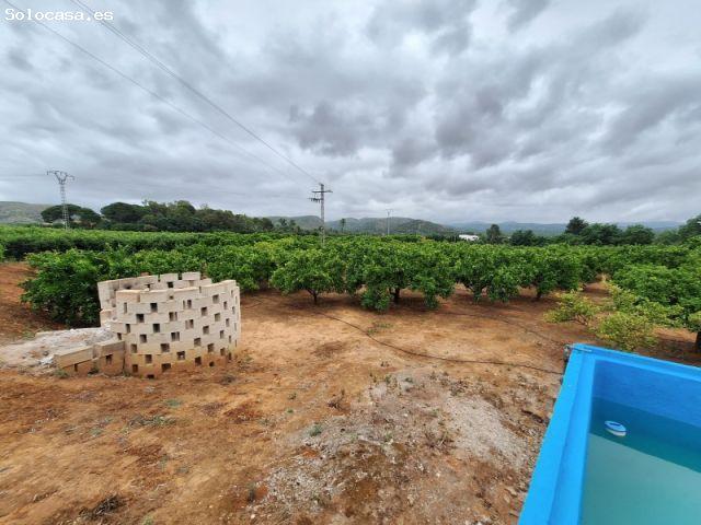 FINCA RÚSTICA EN VENTA EN CARCAIXENT
