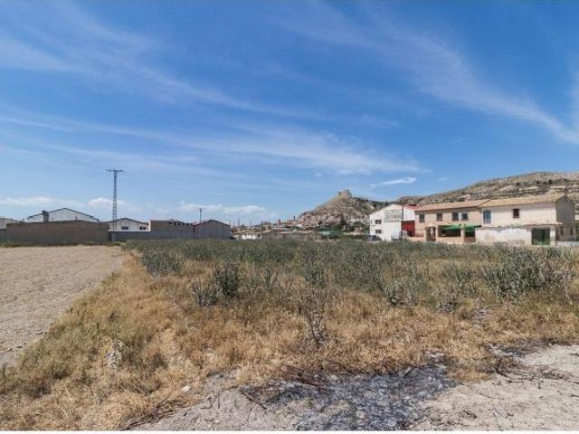 Finca rustica en Venta en Cazamular, Murcia