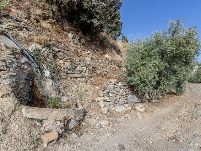 Finca rústica en Venta en Cáñar