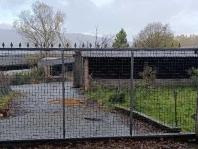Finca rustica en Venta en Celanova, Orense