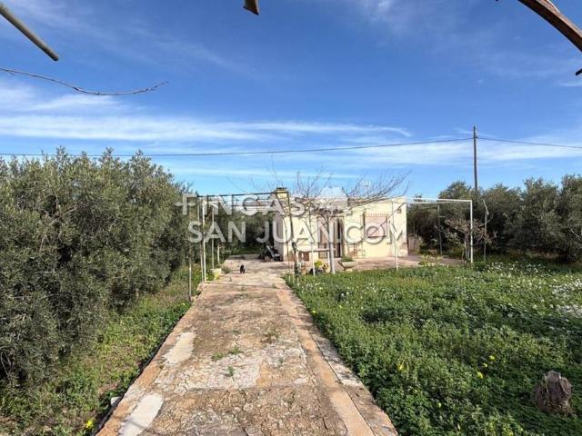 Finca rústica en Venta en Centro