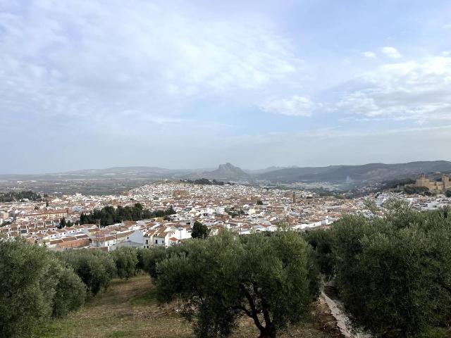 Finca rústica en Venta en Centro