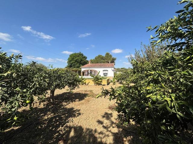Finca rústica en Venta en Centro