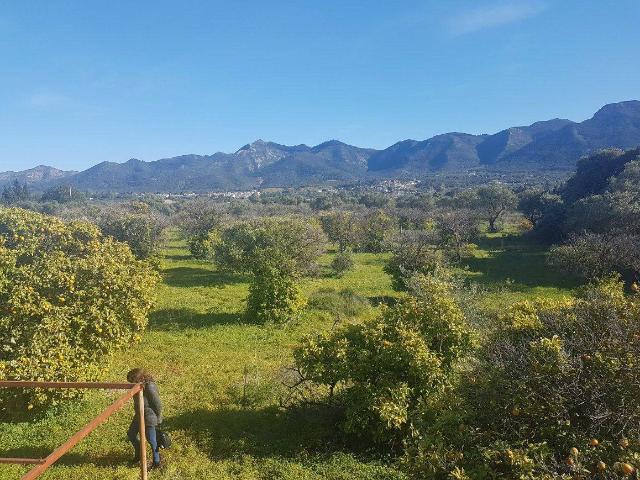 Finca rústica en Venta en Centro
