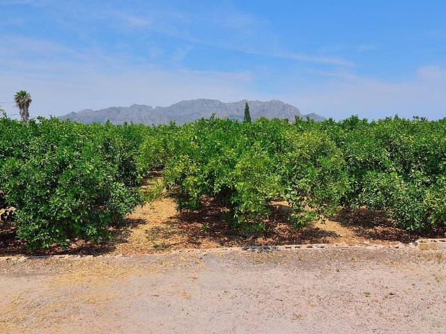Finca rústica en Venta en Centro