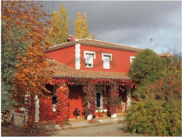Finca rústica en Venta en Centro