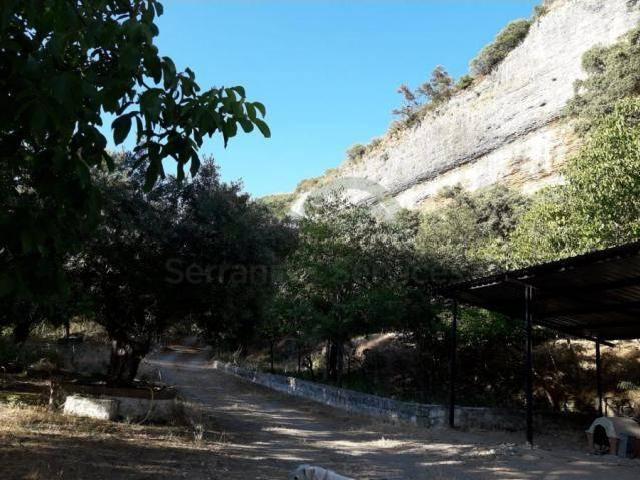 Finca rústica en Venta en Centro