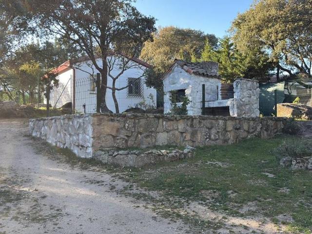 Finca rústica en Venta en Centro Manguilla