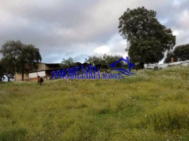 Finca rústica en Venta en Cerro Muriano