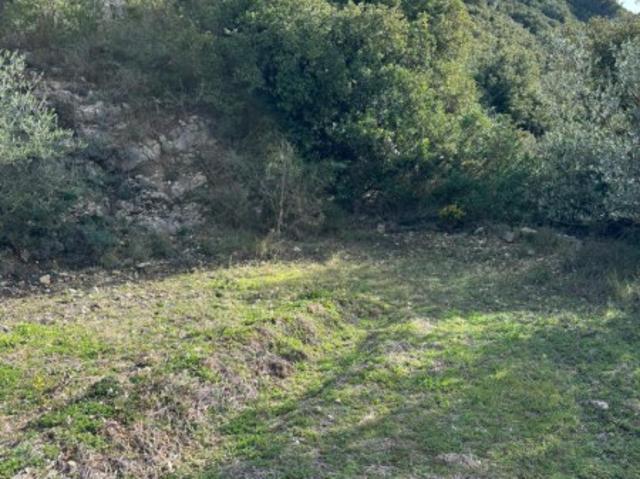 Finca Rústica en Venta en Cervera del Maestre, Castellón