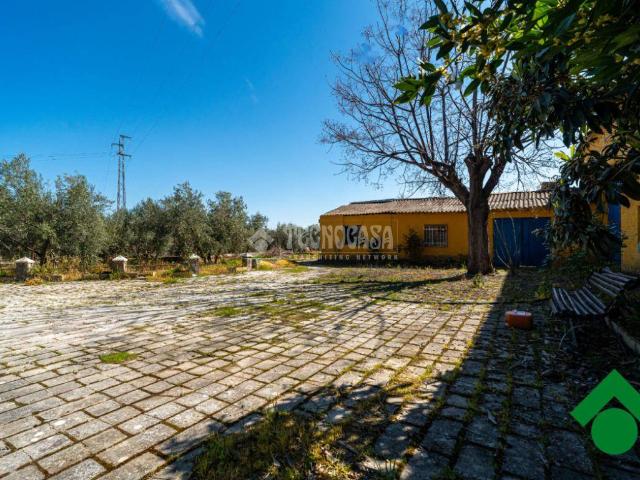 Finca rústica en Venta en Chauchina