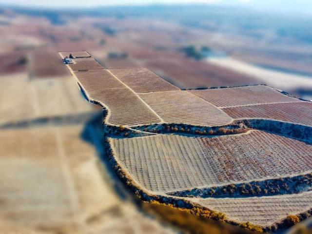 Finca rústica en Venta en Cieza