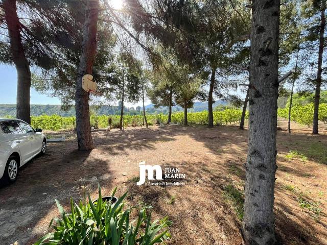 Finca rústica en Venta en Cieza