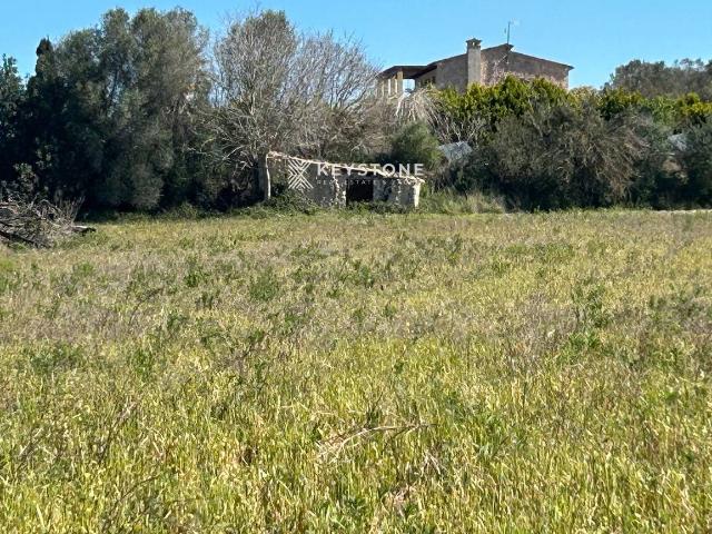 Finca rústica en Venta en Ciutat d'Alcúdia