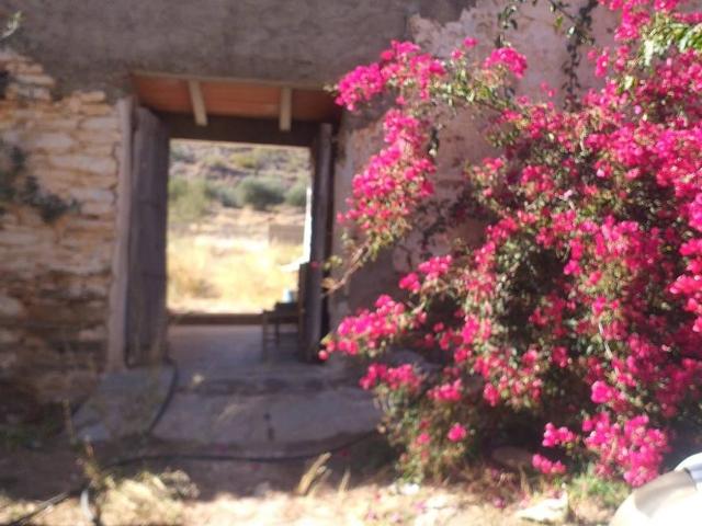 Finca rústica en Venta en Cóbdar
