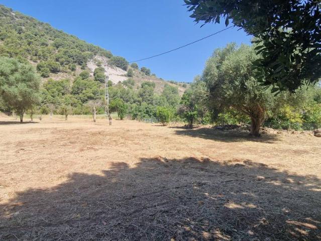 Finca rústica en Venta en Coín