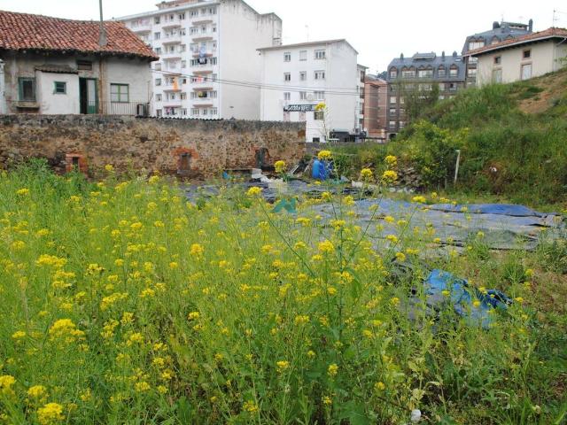 Finca rústica en Venta en Colindres