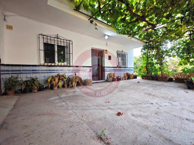Finca rústica en Venta en Comares