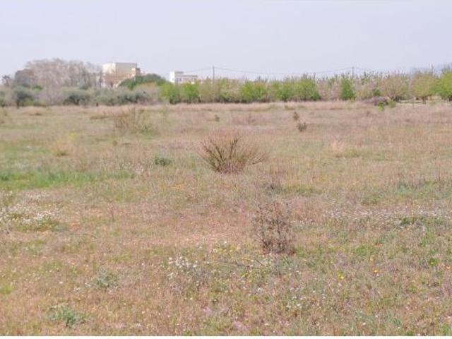 Finca rústica en venta en Constanti