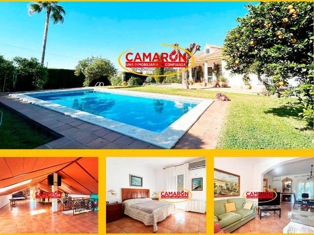 Finca rústica en Venta en Coria del Río
