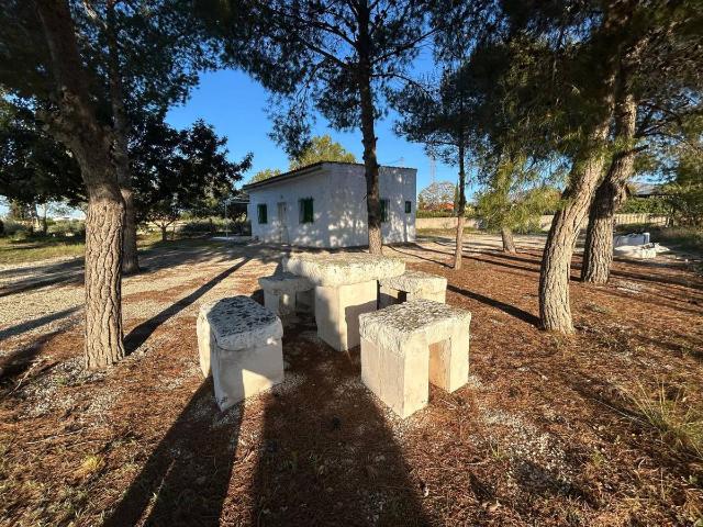 Finca rústica en Venta en Crevillent
