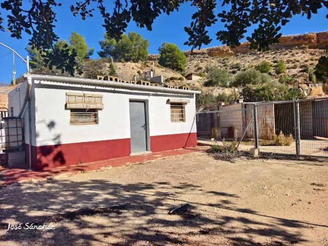 Finca rústica en Venta en Crevillent