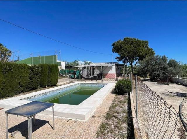 Finca rústica en Venta en Crevillent