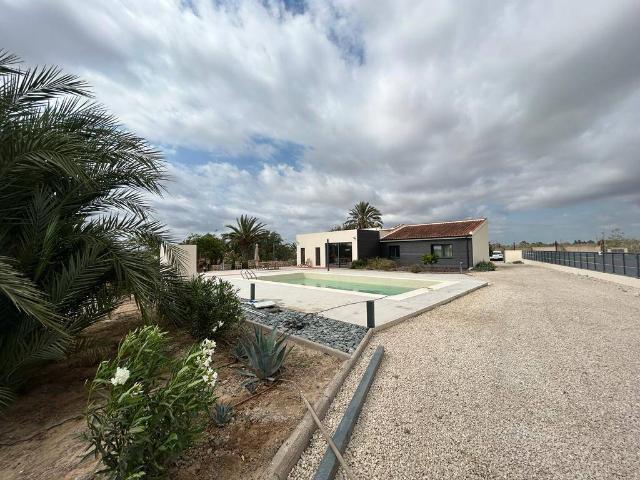 Finca rústica en Venta en Crevillent