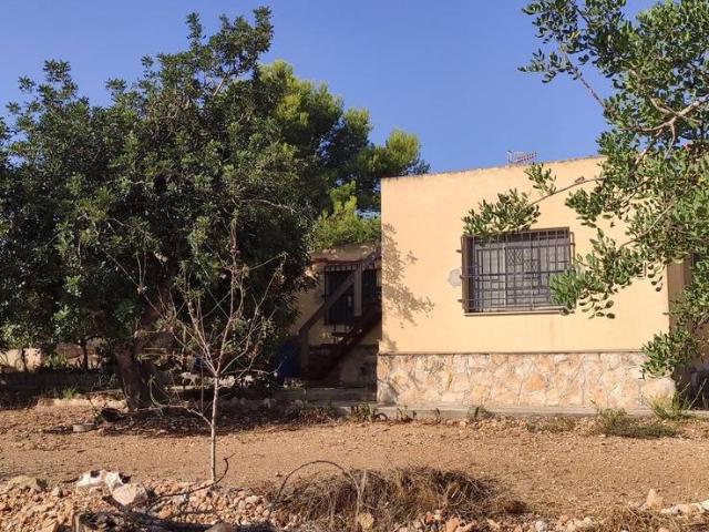 Finca rústica en Venta en Eucaliptus Poble Nou del Delta