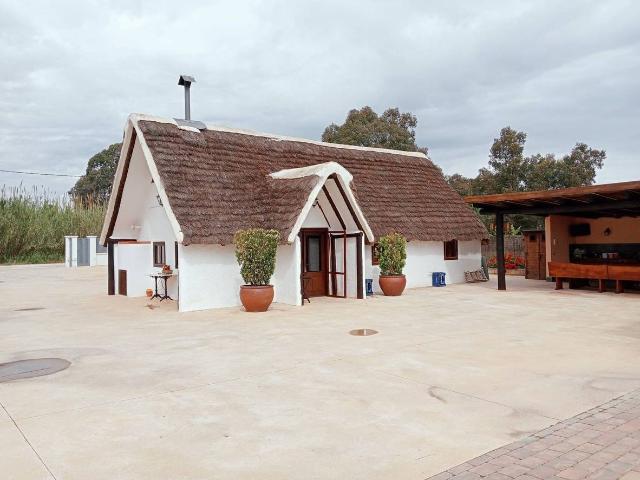 Finca rústica en Venta en Eucaliptus Poble Nou del Delta