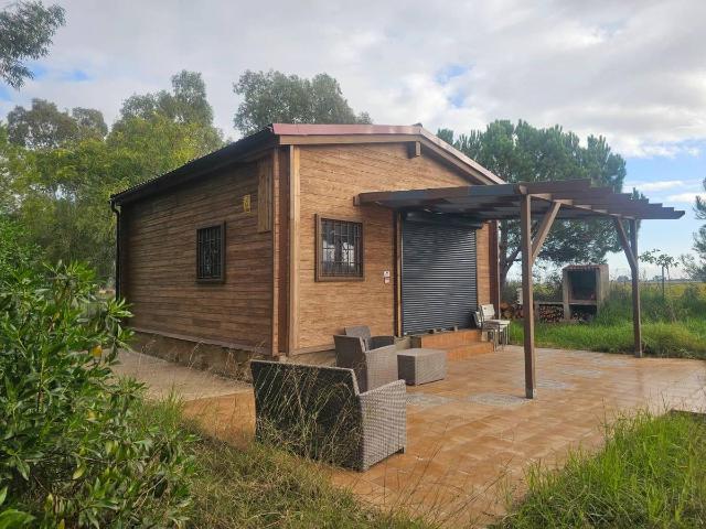 Finca rústica en Venta en Eucaliptus Poble Nou del Delta