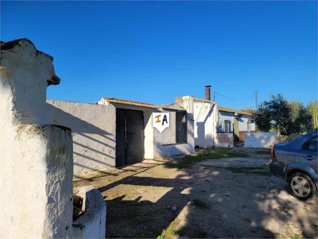 Finca rústica en Venta en Écija
