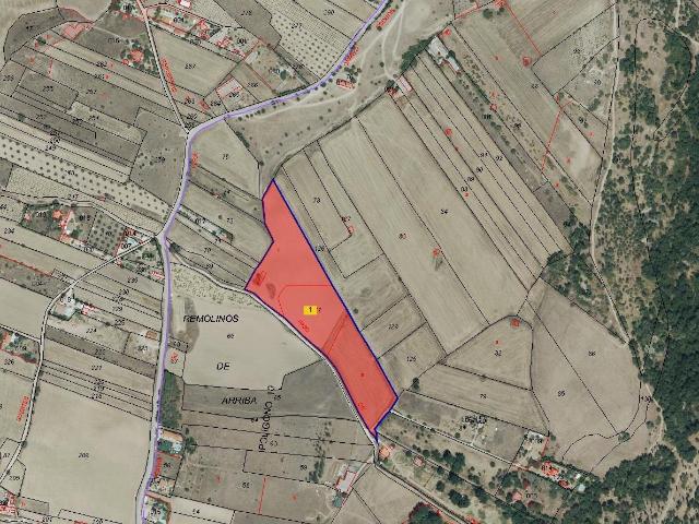 Finca rústica en venta en El Molar