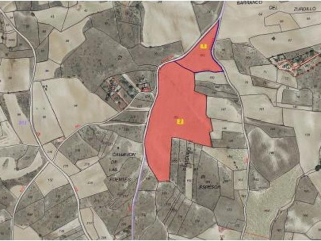 Finca rústica en venta en El Molar