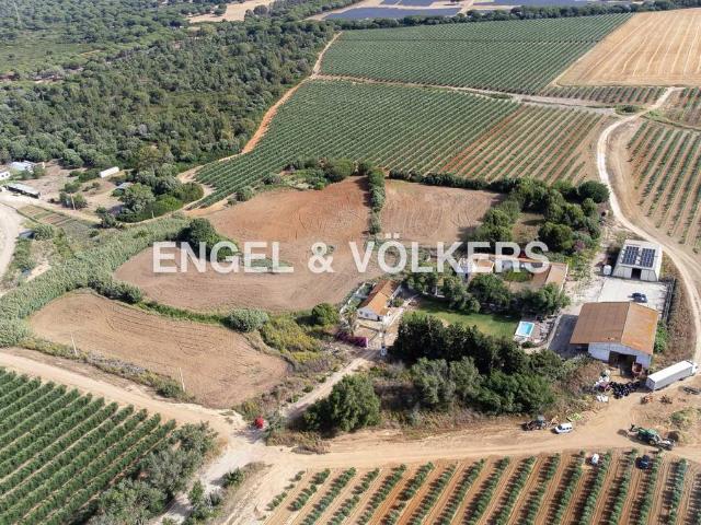 Finca rústica en Venta en El Almedral