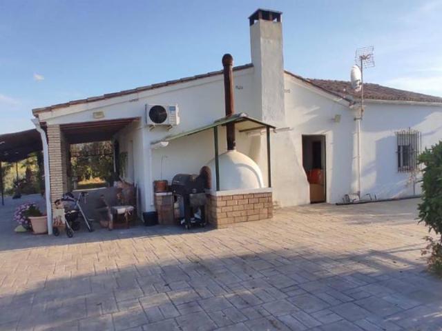 Finca rústica en Venta en El Coronil