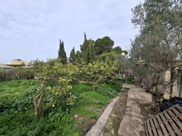 Finca rústica en Venta en El Edén