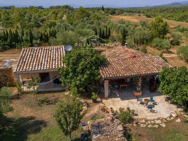 Finca rústica en Venta en El Perelló